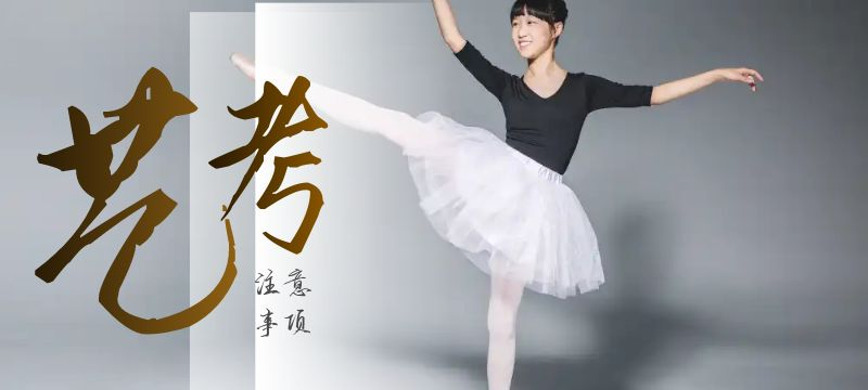 內(nèi)蒙古2024年普通高校招生網(wǎng)上填報(bào)志愿公告（第23號）——藝術(shù)類本科提前批B第四次