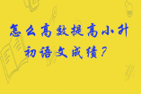怎么高效提高小升初語(yǔ)文成績(jī)？