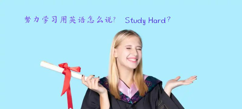 "努力學(xué)習(xí)"在英語中的表達(dá)方式 "努力學(xué)習(xí)"在英語中的表達(dá)方式