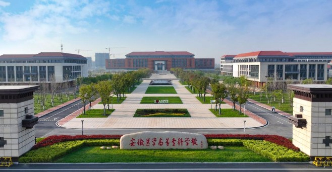 合肥安徽醫(yī)學高等?？茖W校