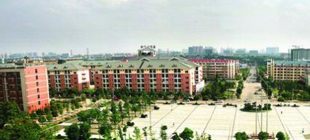 上海奉賢區(qū)四團小學