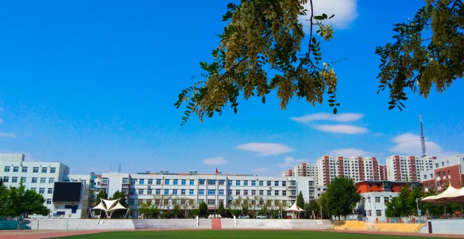 丹東遼寧石化職業(yè)技術學院