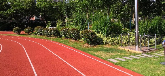 上海奉賢區(qū)青村小學(xué)