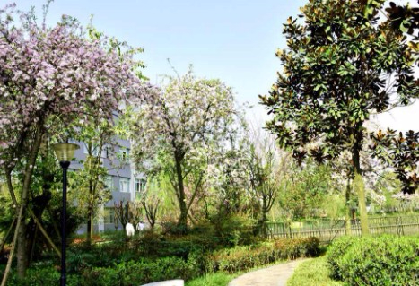 成都工貿(mào)職業(yè)技術(shù)學院