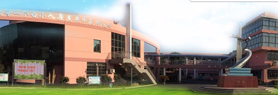 上海青浦區(qū)白鶴小學(xué)