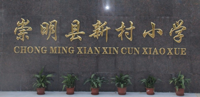 上海崇明區(qū)新村小學(xué)