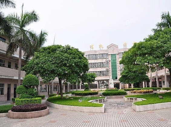 東莞常平袁山貝小學(xué)