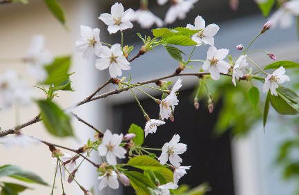 上海奉賢區(qū)海灣小學(xué)