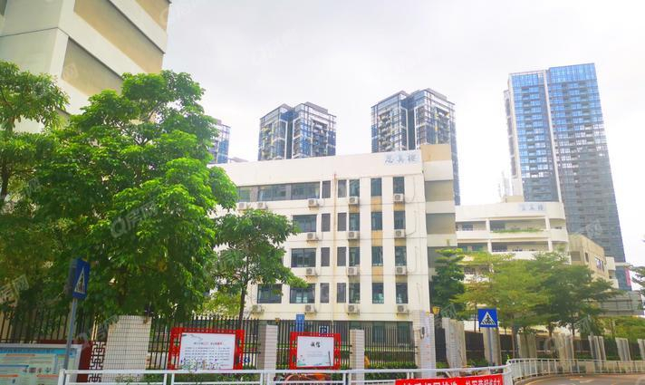 龍華區(qū)教育科學研究院附屬學校