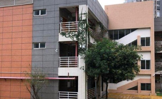 深圳西鄉(xiāng)碧海幼兒園