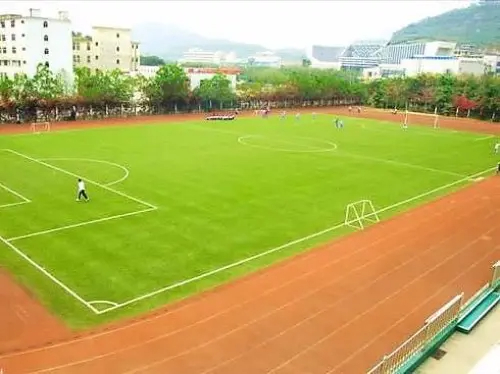 深圳南山外國語學校（集團）桃源中學