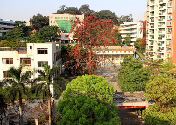 東莞虎門中心小學