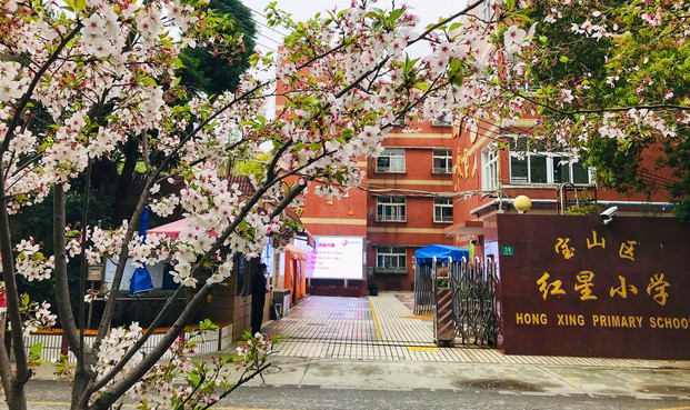 上海寶山區(qū)紅星小學