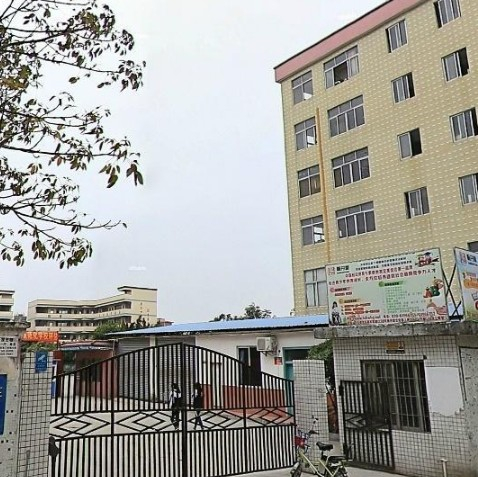 廣州大石大山學(xué)校(九年一貫)