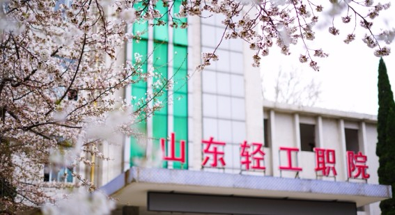 淄博山東輕工職業(yè)學(xué)院