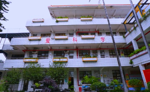 東莞厚街鎮(zhèn)河田小學(xué)