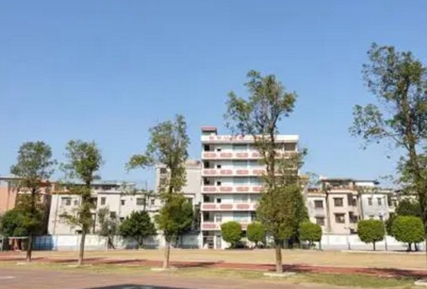 廣州南沙區(qū)崗城小學(xué)