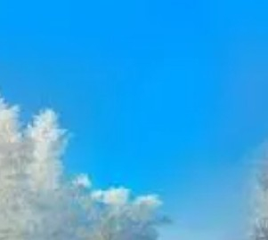 深圳育英小學(xué)