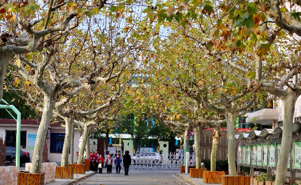 上海奉賢區(qū)肖塘中學(xué)