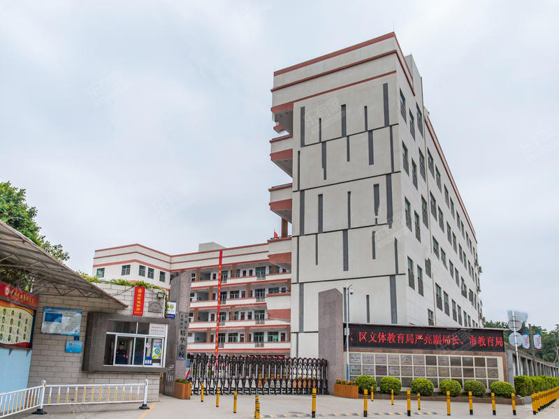 深圳精華學(xué)校