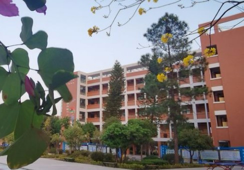 惠州惠陽(yáng)區(qū)沙田鎮(zhèn)中心小學(xué)