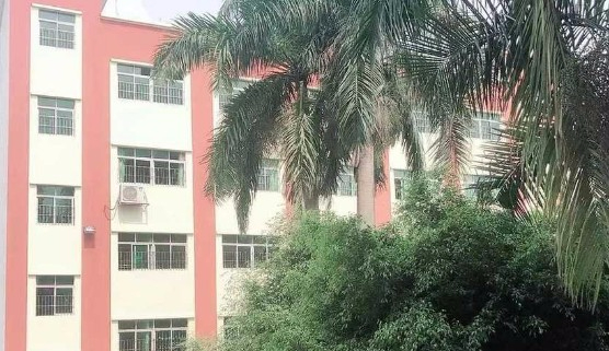 深圳高峰學(xué)校附屬北極星幼兒園