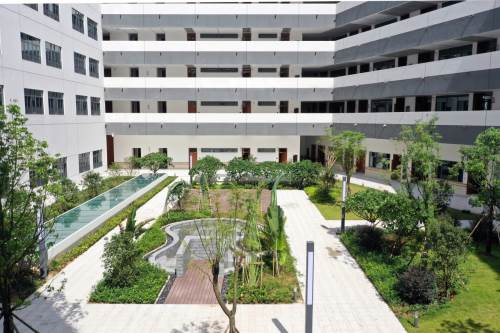 深圳龍?jiān)穼W(xué)校