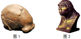 菁優(yōu)網(wǎng)：http://www.jyeoo.com