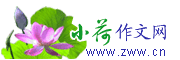 小荷作文網(wǎng)